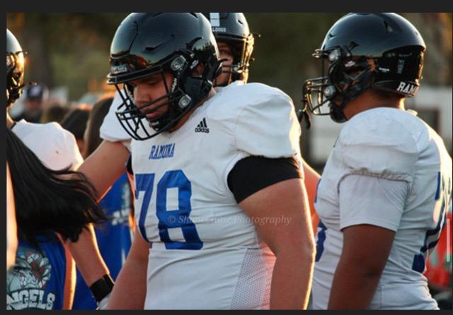 Coach's Free Use Lineman Toy